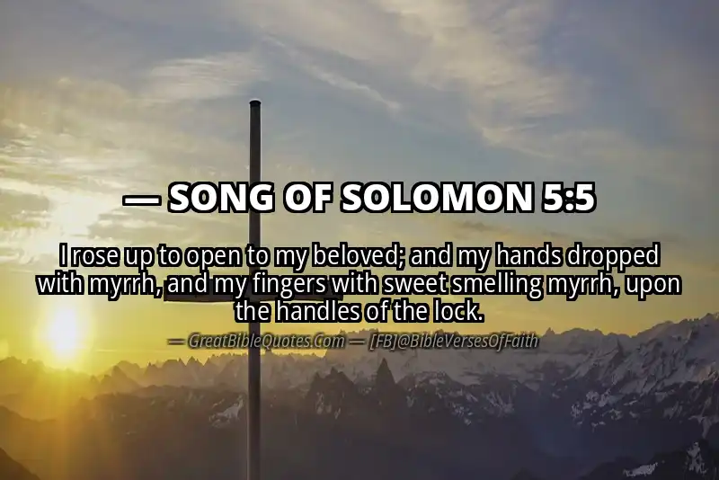 SONG OF SOLOMON 5:5 Verse