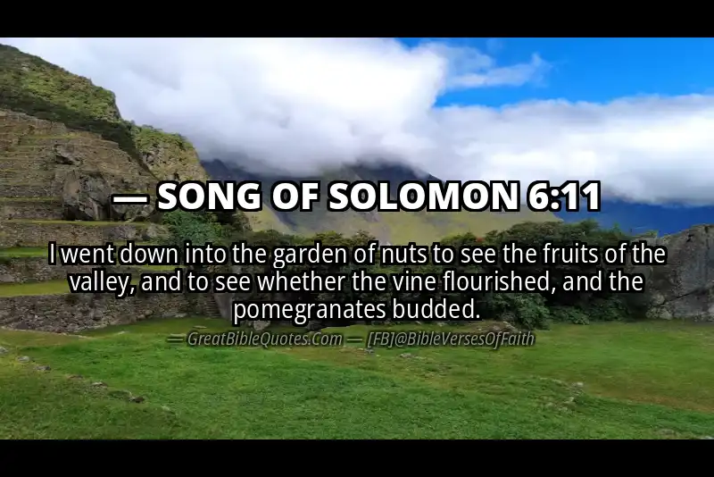 Bible verse: SONG OF SOLOMON 6:11 Image