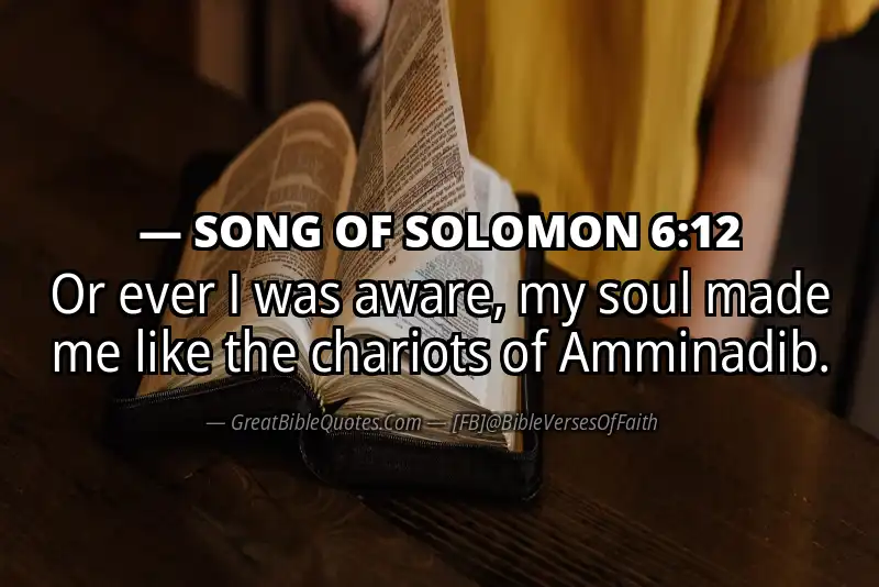 Bible verse: SONG OF SOLOMON 6:12 Image