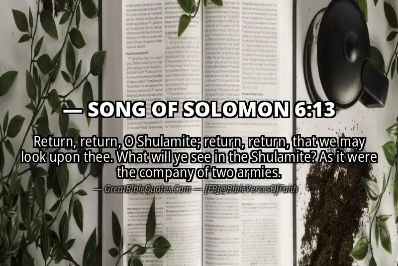 SONG OF SOLOMON 6:13 Verse Image