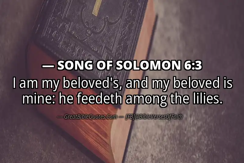 SONG OF SOLOMON 6:3 Verse