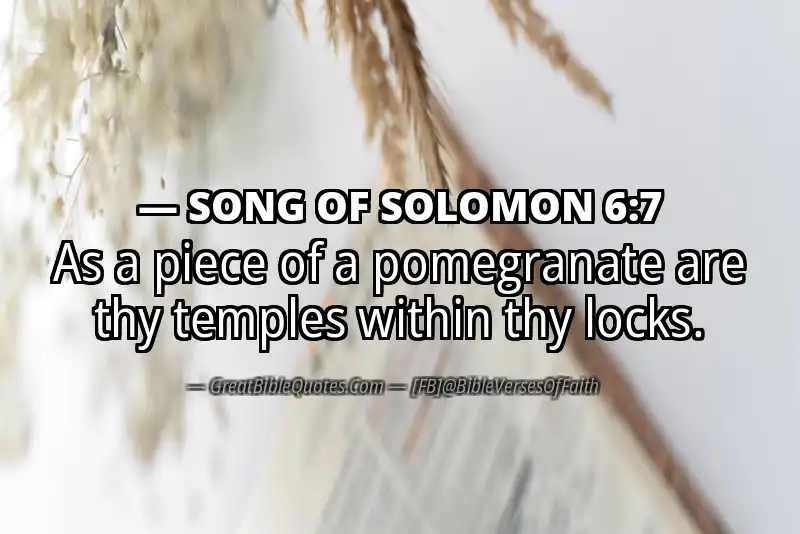 SONG OF SOLOMON 6:7 Verse