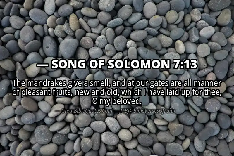 Bible verse: SONG OF SOLOMON 7:13 Image