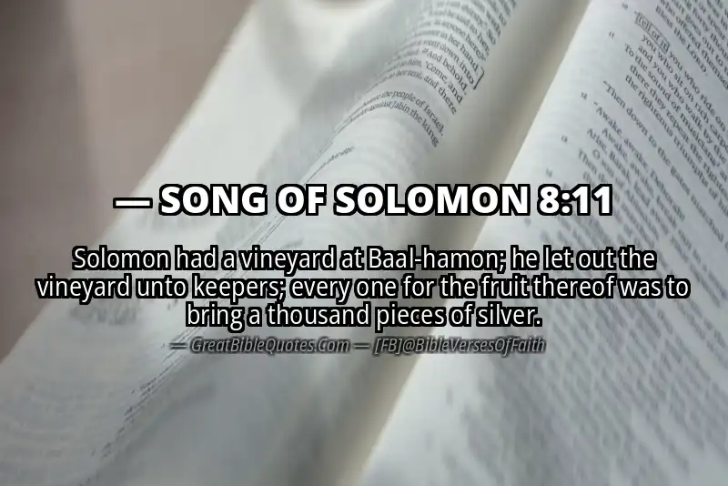 Bible verse: SONG OF SOLOMON 8:11 Image