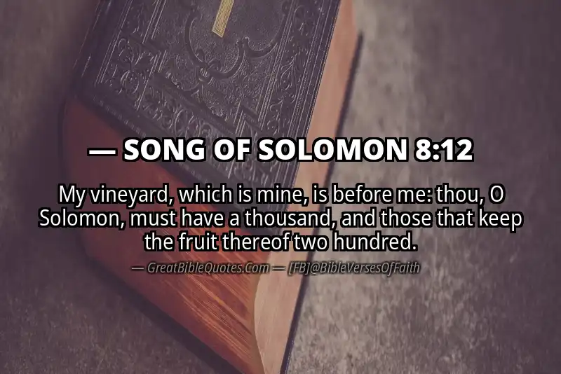Bible verse: SONG OF SOLOMON 8:12 Image