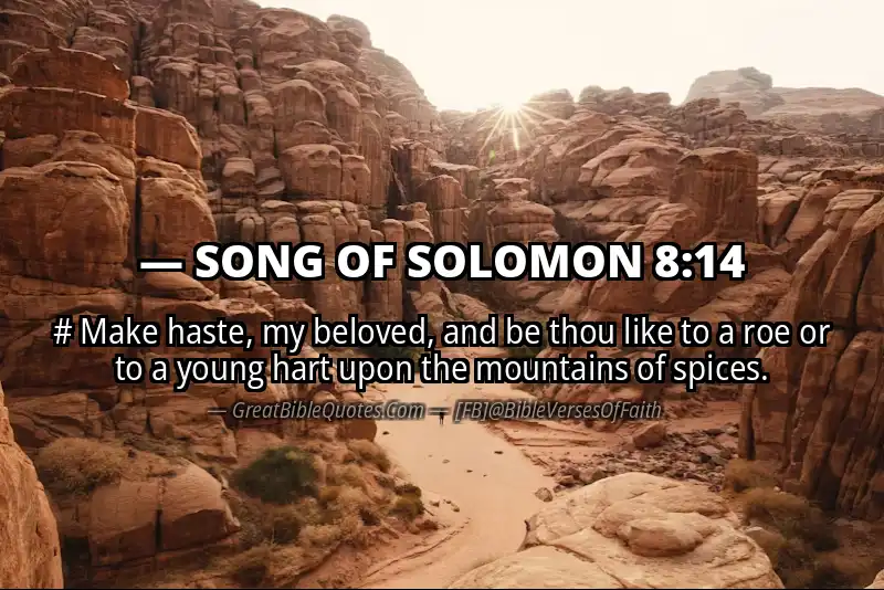 Bible verse: SONG OF SOLOMON 8:14 Image