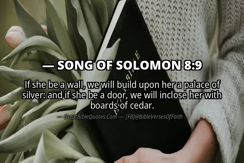 SONG OF SOLOMON 8:9 Verse