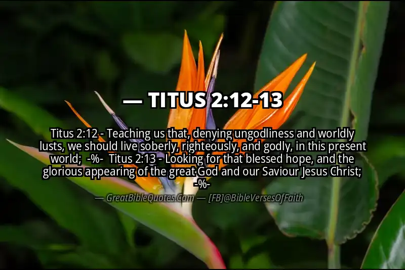 Image for TITUS 2:12-13 Bible verse