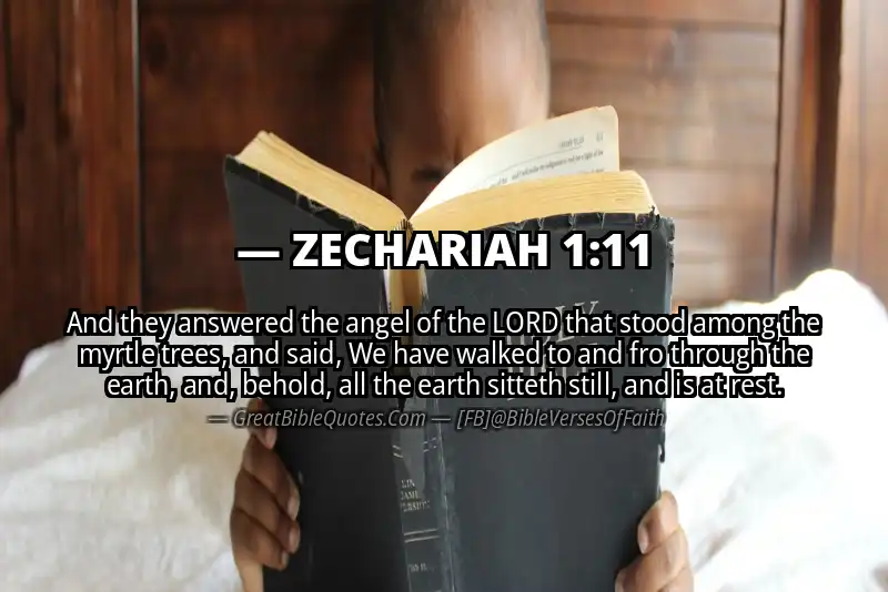Bible verse: ZECHARIAH 1:11 Image
