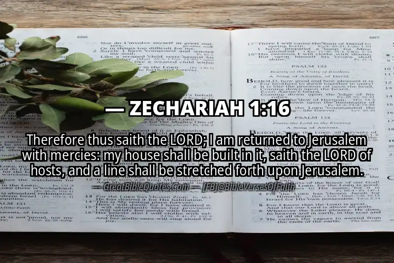 ZECHARIAH 1:16 Verse Image