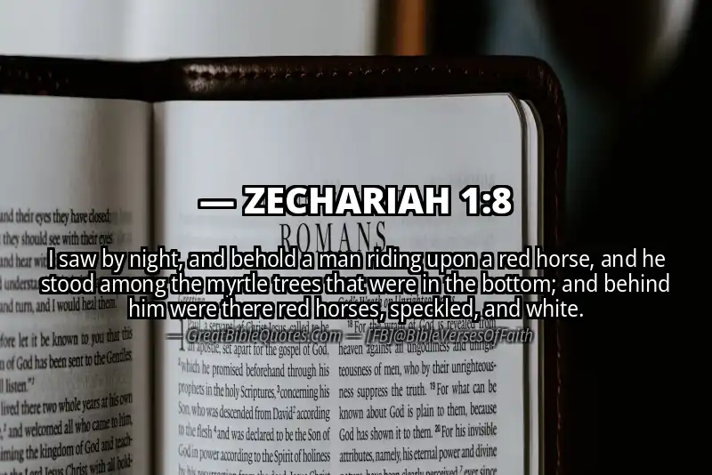 Bible verse: ZECHARIAH 1:8 Image