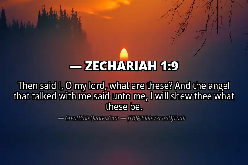 Bible verse: ZECHARIAH 1:9 Image