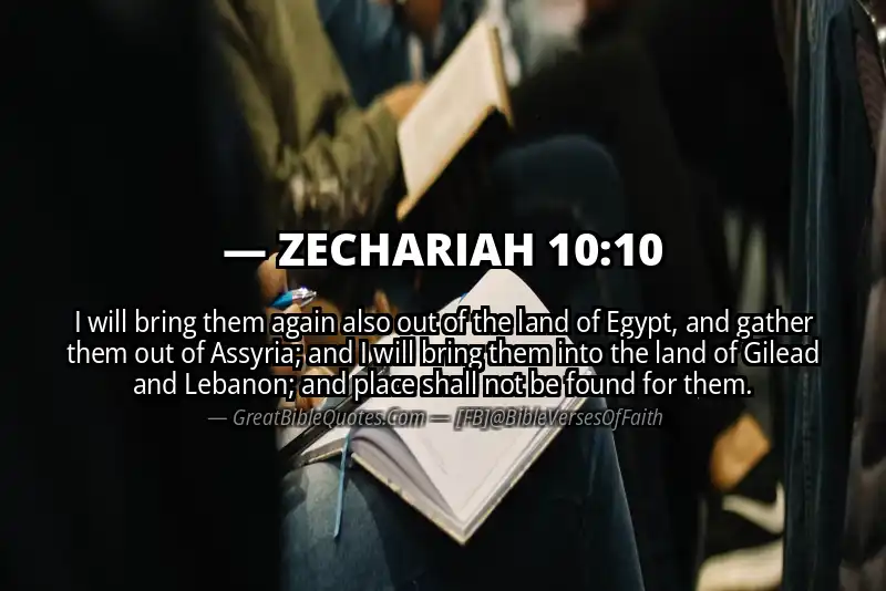 ZECHARIAH 10:10 Verse