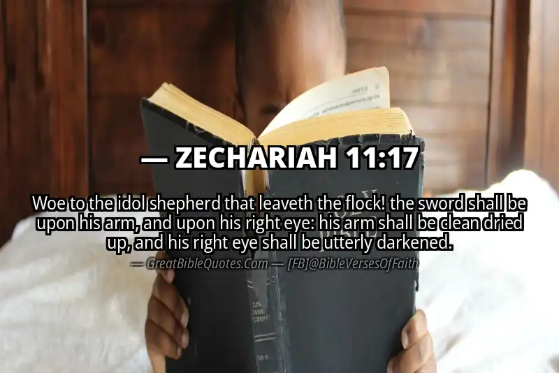Bible verse: ZECHARIAH 11:17 Image