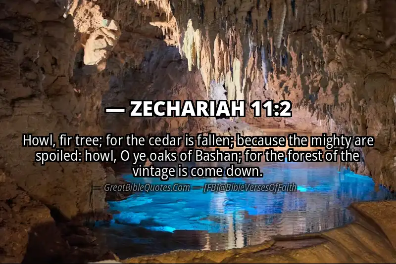 Bible verse: ZECHARIAH 11:2 Image