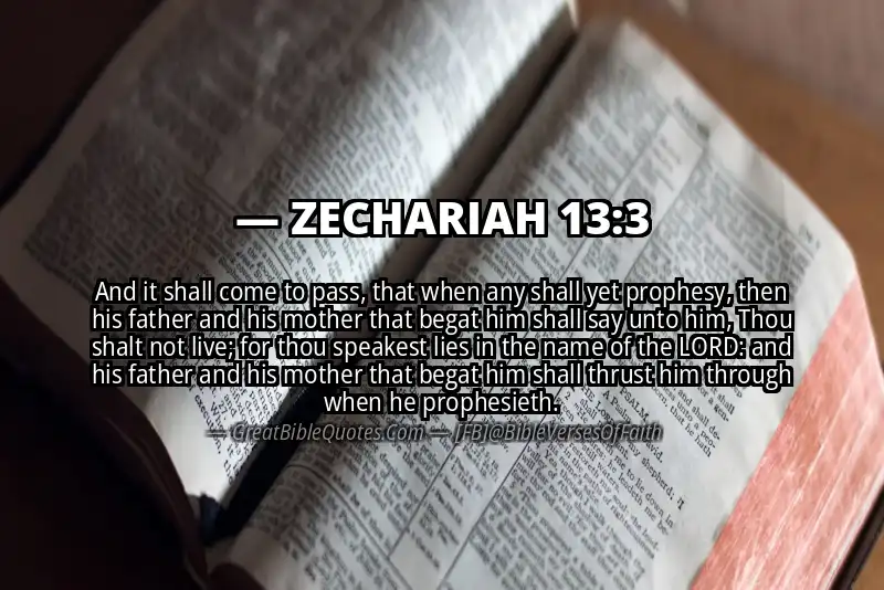 Bible verse: ZECHARIAH 13:3 Image