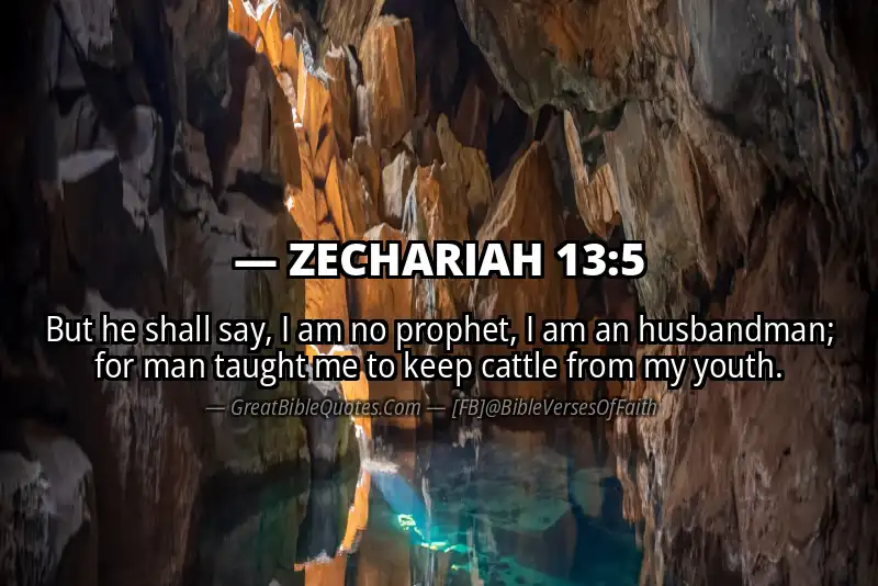 Bible verse: ZECHARIAH 13:5 Image