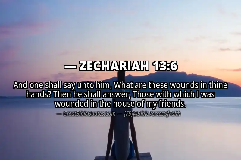 Bible verse: ZECHARIAH 13:6 Image