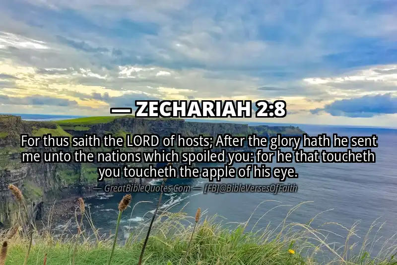 Bible verse: ZECHARIAH 2:8 Image