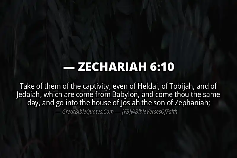 ZECHARIAH 6:10 Verse