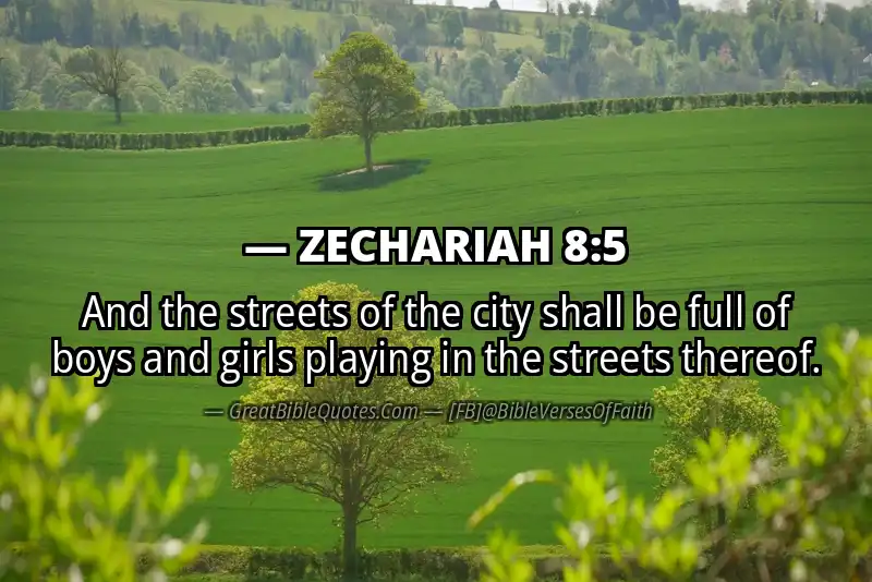 ZECHARIAH 8:5 Verse