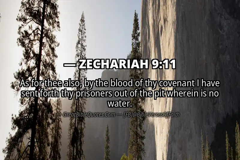 Bible verse: ZECHARIAH 9:11 Image