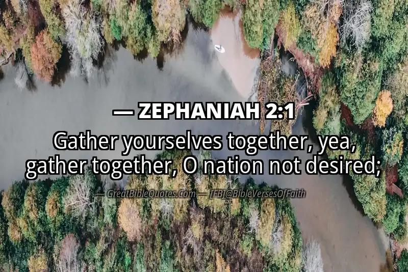 ZEPHANIAH 2:1 Verse