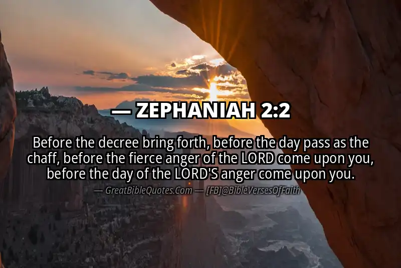 ZEPHANIAH 2:2 Verse