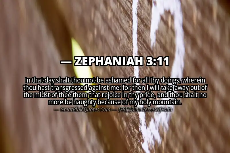 ZEPHANIAH 3:11 Verse
